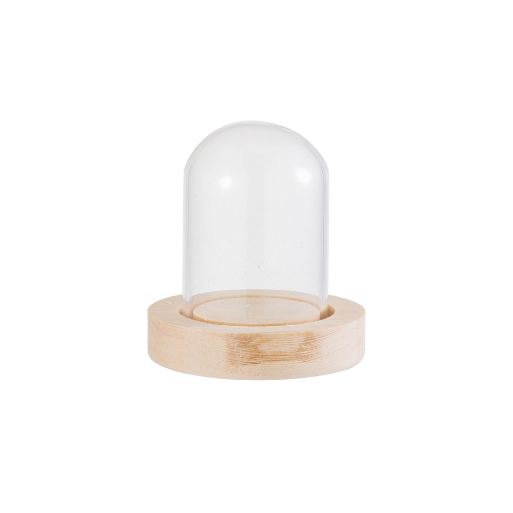 Home Decor Flowers - Luci decorative per la casa, terrario,