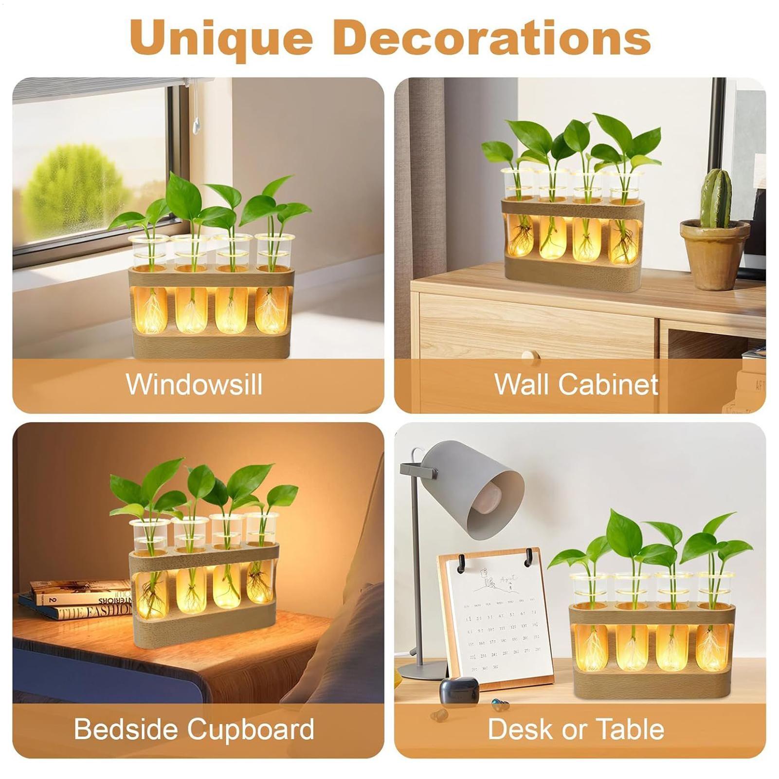 Terrario per provette in vetro - Home Decor Youtube recensione e prezzo