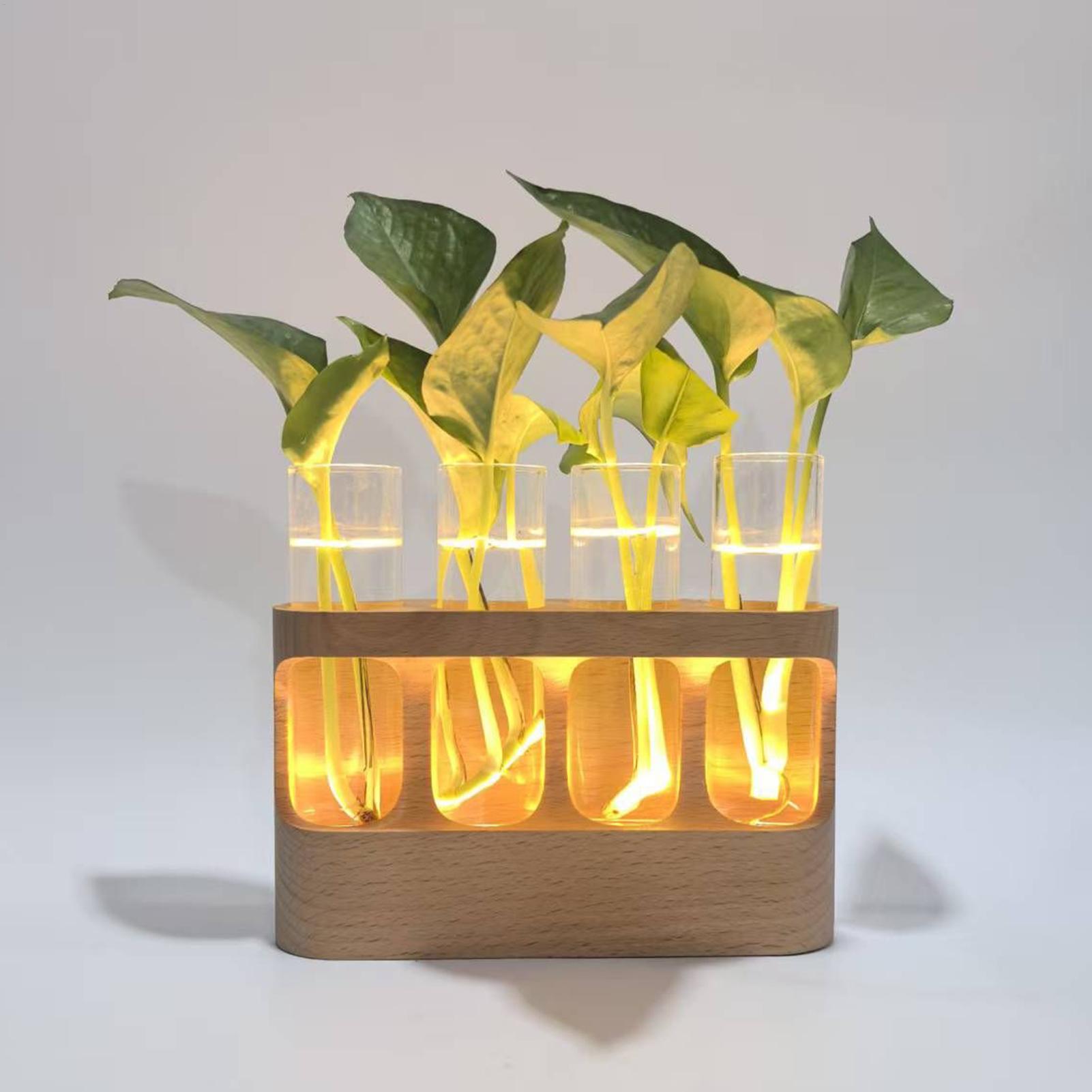 Terrario per provette in vetro - Home Decor Youtube recensione e prezzo