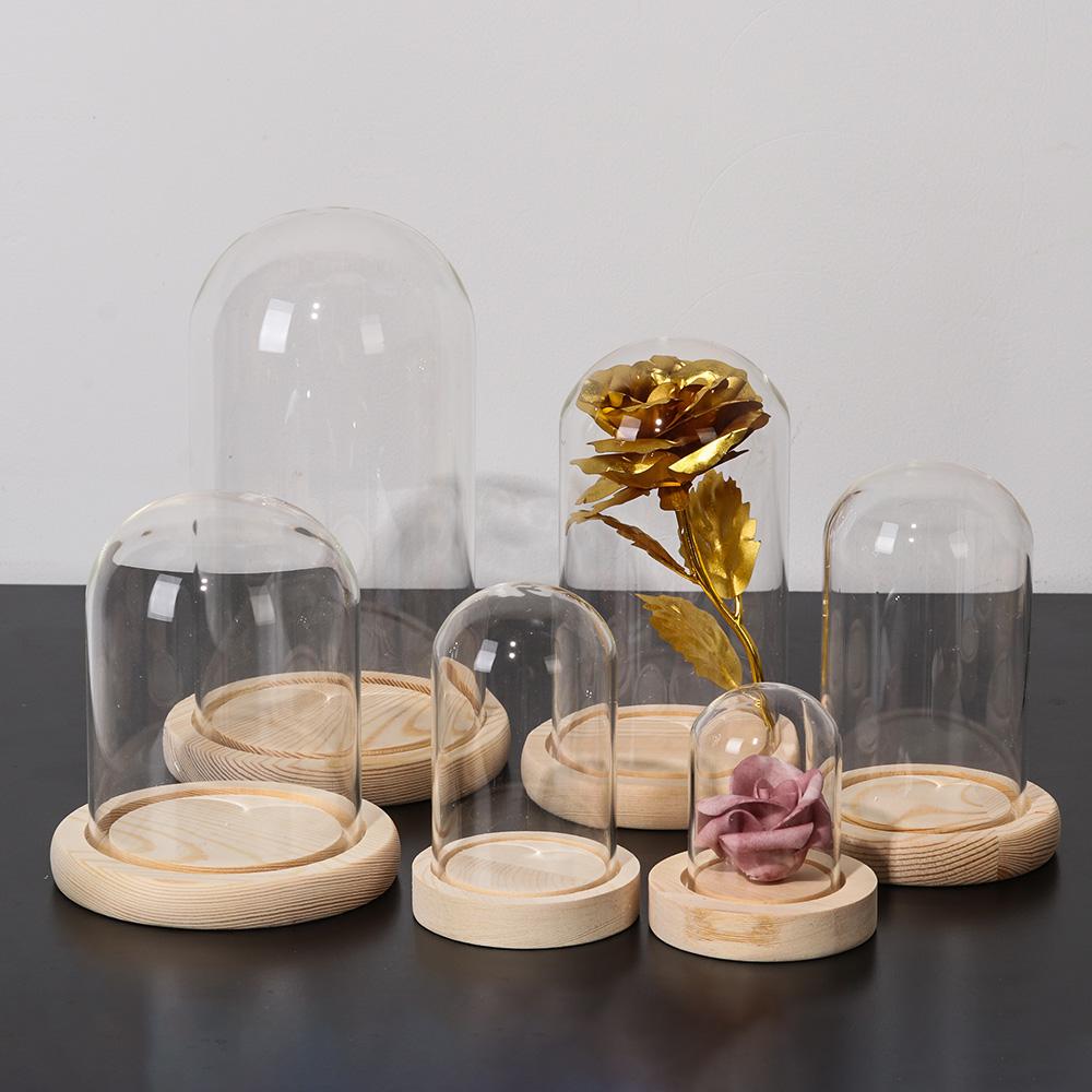 Luci decorative per la casa, t - Home Decor Flowers recensione e prezzo